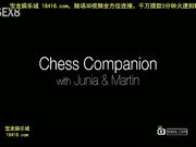 chess companion[宝20140914]