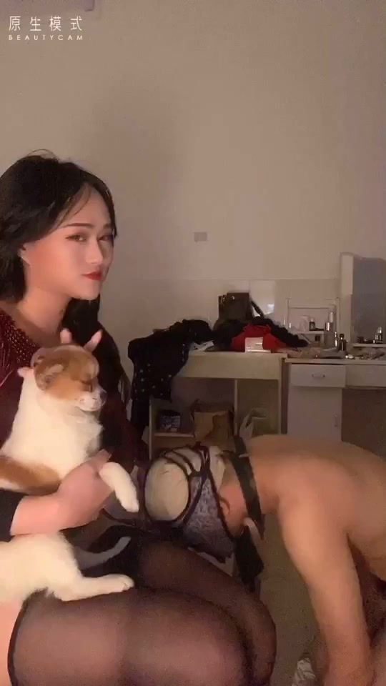 00后媚妖TS妖月小姐 调教贱狗，给妈妈磕一百个头，贱狗，起来舔妈妈的鸡巴，叫二哈爸爸，叫到它汪汪为止，对白风趣！