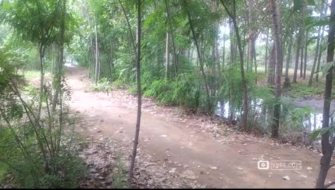 野外坐在电动摩托车上做爱