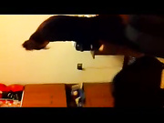 已经不是朋友的女朋友