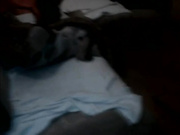 20130328gc_[觉情资源首发]-国产骚女洗脚房激情口爆后直接冲红茶喝了国语对白.mp4