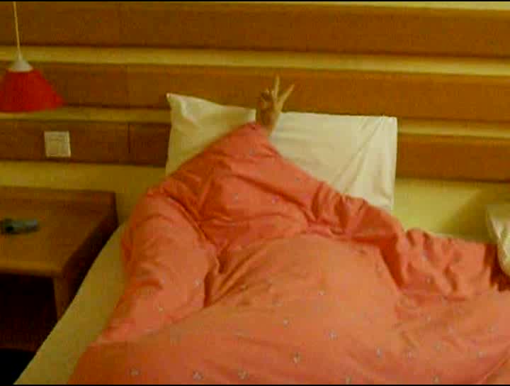 全程露脸精品推荐小情侣宾馆做爱全程实录完整版